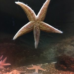 Meet your Posher, Jamie-lyn